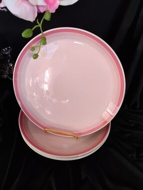 Set Of 4 Mikasa Pink Rim Ceramic Dinner Plates - Soft Blush and Rose Accent